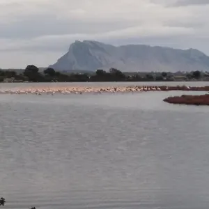 Appartamento La Puppusedda, San Teodoro (Sardinia)